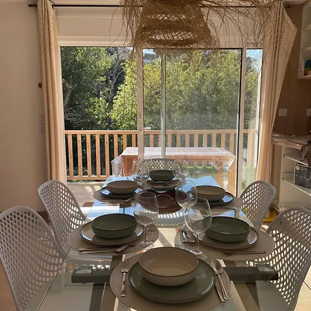 Apartamento Palmeira