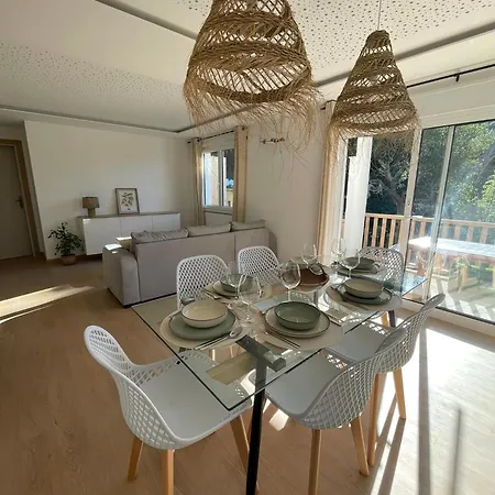 Apartamento Palmeira