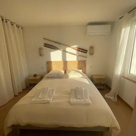 Palmeira- * Sainte-Maxime