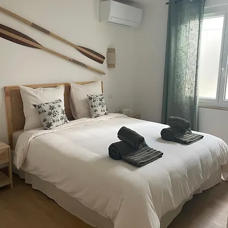 Palmeira- * Sainte-Maxime