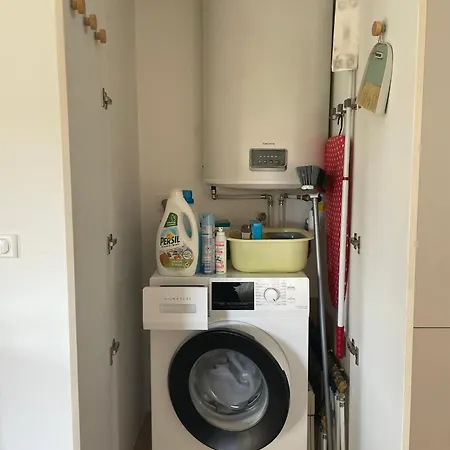 Palmeira- サント・マキシム