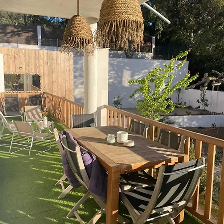 Apartment Palmeira- Sainte-Maxime