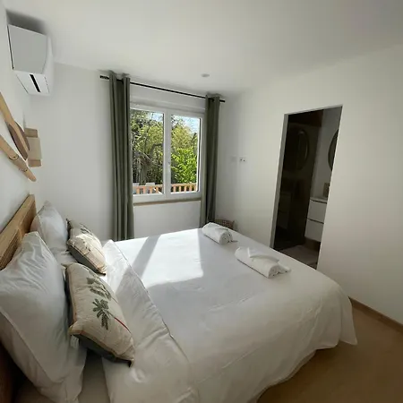 Apartment Palmeira- *