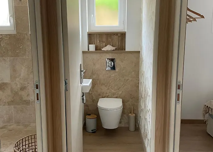 Palmeira- * Sainte-Maxime