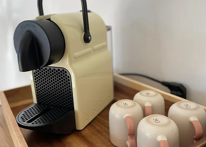 Palmeira- サント・マキシム